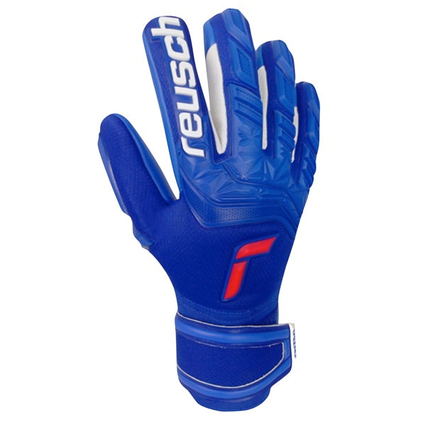 REUSCH ATTRAKT FREEGEL SILVER