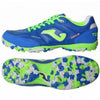 TOP FLEX 2004 ROYAL-VERDE FLUOR TURF
