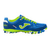 TOP FLEX 2004 ROYAL-VERDE FLUOR TURF