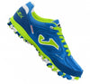 TOP FLEX 2004 ROYAL-VERDE FLUOR TURF